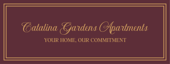 color logo with background