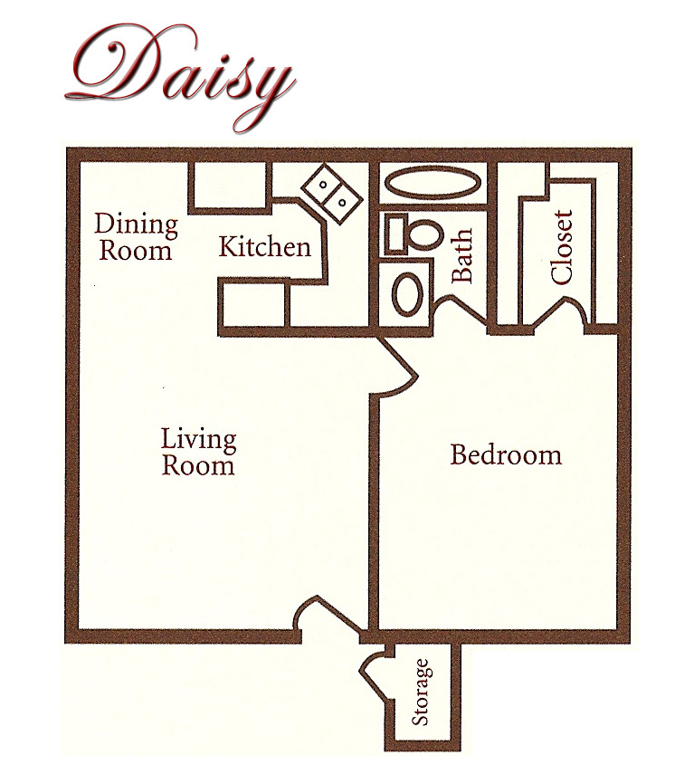 daisy